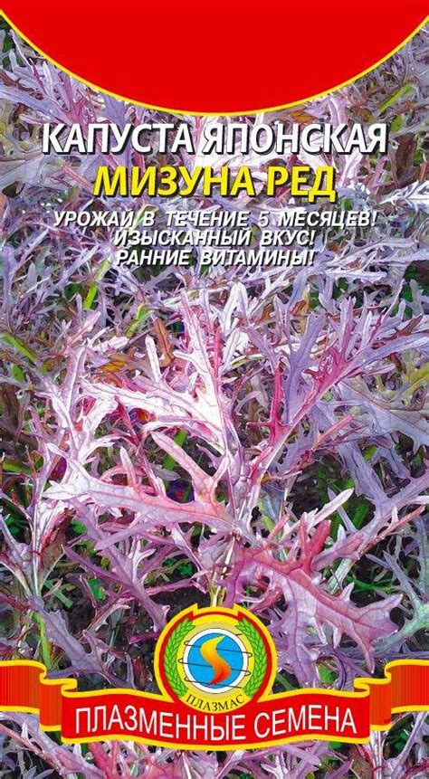 Купить семена Капуста японская Мизуна ред (п) 0,2гр — доставка по ...
