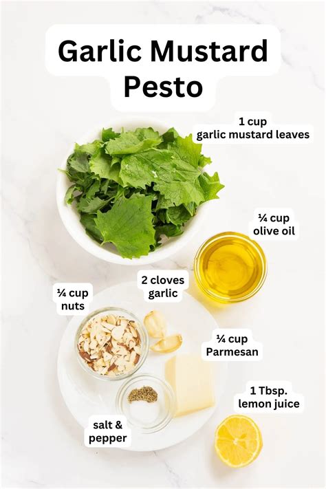 Garlic Mustard Pesto | Babaganosh