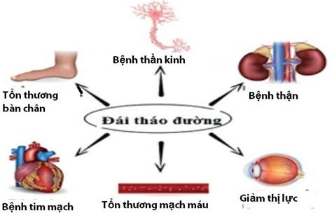 Các Biến Chứng Bệnh đái Tháo đường Là Gì