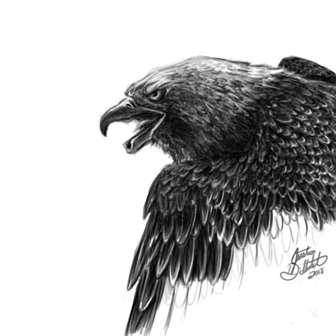 Angry Eagle by FreedomSparrow3 on DeviantArt