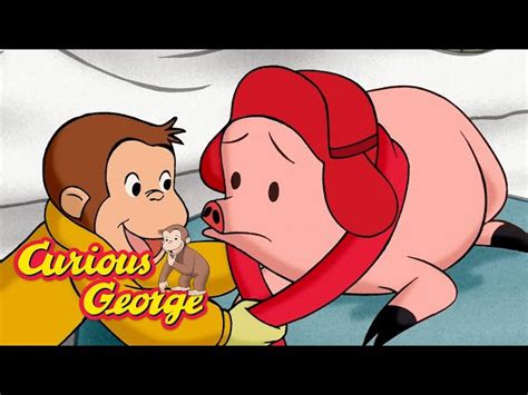 George Helps A Pig 🐵 Curious George 🐵 Kids Cartoon 🐵 Kids Movies