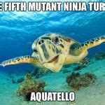 Sea Turtle Meme Generator - Imgflip