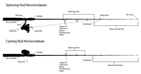 Anglers Resource Rod Glossary Spinning Rods Casting Rod Fish