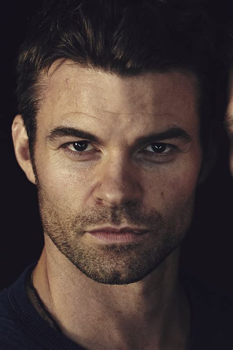 Daniel Gillies - Profile Images — The Movie Database (TMDB)