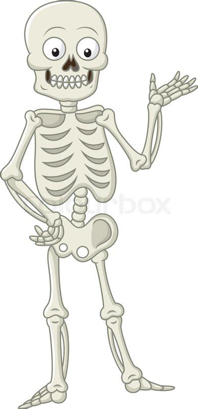 Funny Skeleton Body