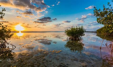 14 Best Things To Do In Key Largo You Shouldnt Miss Florida Trippers