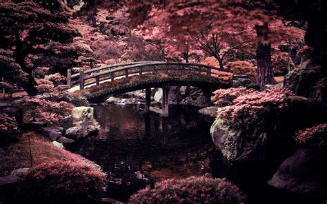 Japan 4k Wallpapers Top Free Japan 4k Backgrounds Wallpaperaccess