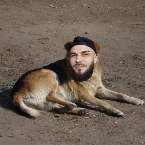 Create Meme Dog Pictures Meme