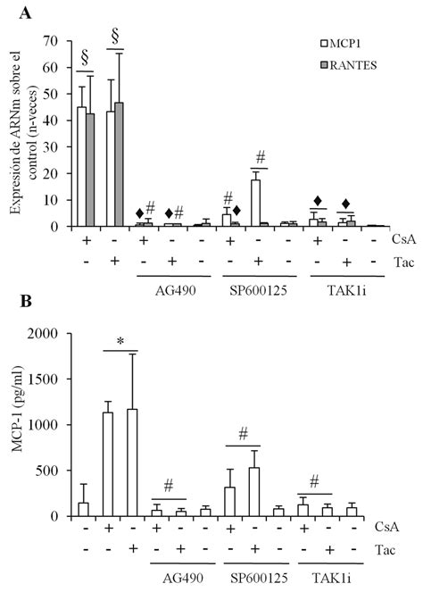 A Expresi N De Mrna De Mcp Y Rantes Medido Por Q Rt Pcr En
