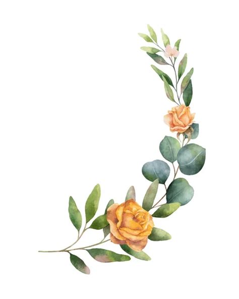 Watercolor Vector Bouquet With Green Eucalyptus Leaves And Flowers Of