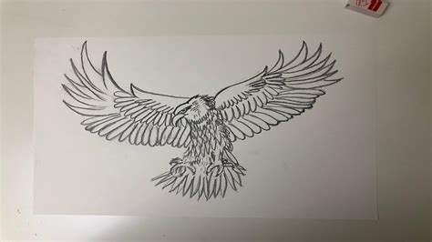 How To Draw An Eagle With Wings Spread Youtube