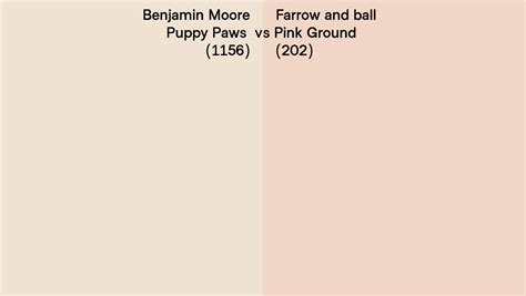 Benjamin Moore Puppy Paws 1156 Vs Farrow And Ball Pink Ground 202