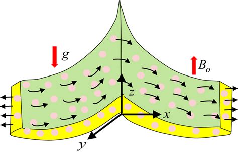 Schematic Representation Of Convective Magnetohydrodynamic Flow Over