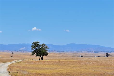 County Road 35, Artois, CA 95913 | LoopNet