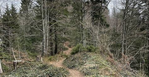 Schönengrund Hochhamm Schönengrund BERGFEX Wanderung Tour