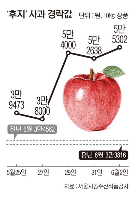 사과값 강세행진 지속 전망