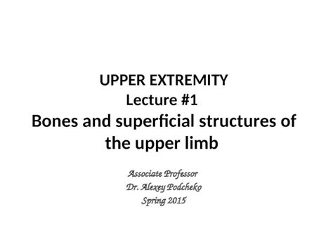 Ppt Upper Extremity Lecture Bones And Superficial Structures Of