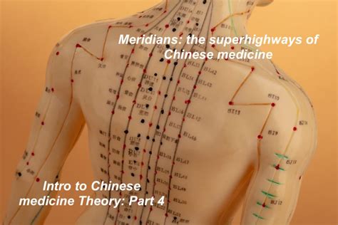 Meridians The Superhighways Of Chinese Medicine Elemental Wellness