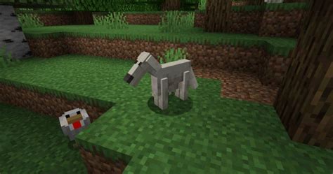 Top 10 Minecraft Dog Mods That Pair Perfectly With Armadillos Update