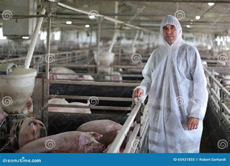 Veterinarian Doctor Wearing Protective Suit Stock Image Image Of