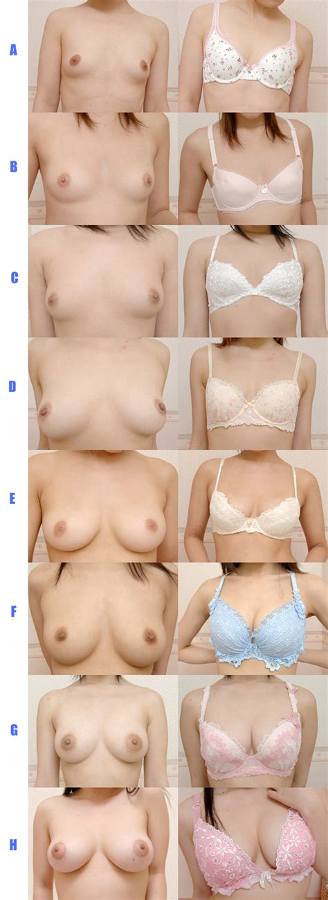 Various Breast Sizes Nude Sex Pictures Pass