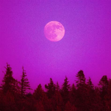 the full moon is seen over some trees in this purple night time sky ...