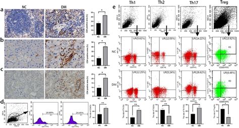 The change of the CD4⁺ T cells and its subtypes in different organs ...