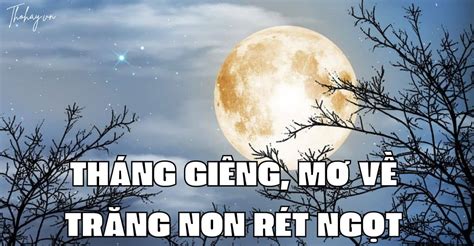 Con Hổ Có Nghĩa Nội Dung Truyện Ý Nghĩa Giá Trị