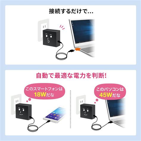 Ac Usb Power Delivery Pd W C Type C Aca Pd Bk