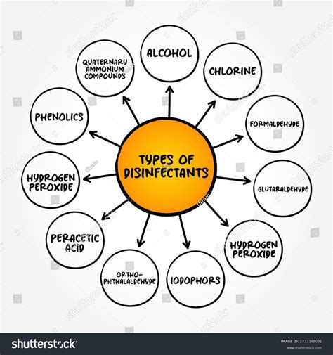 Types Disinfectants Chemical Liquid That Destroys Stock Vector Royalty