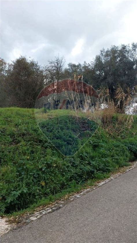 Terreno Venda Na Rua Do Arrabalde Barrocas Pombal Santiago E S O