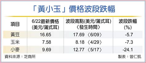 大成韓家寅：黃小玉已漲到頂 財經要聞 工商時報