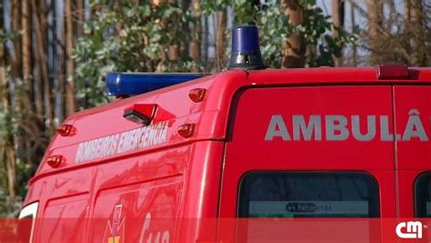 Homem Morre Atingido Por Rvore Que Estava A Ser Cortada Em Viana Do