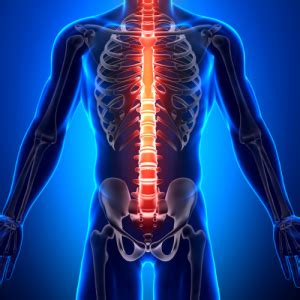 Spinal Injections in Hampshire | Ultrasound Guided Spinal Injection