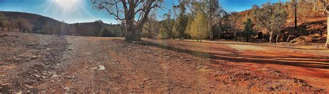 Camping Skytrek Willow Springs Station