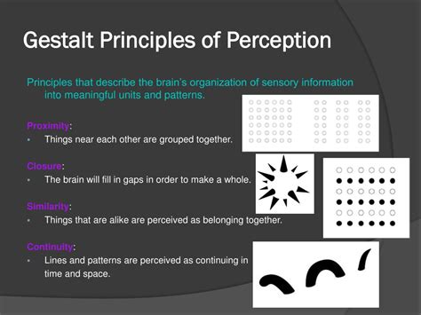 Ppt Sensation And Perception Powerpoint Presentation Free Download Id 6309726