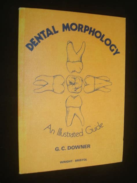 Illustrated Guide To Dental Morphology Uk Downer Gc