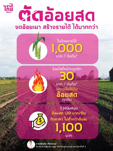 ความรู้ใหม่ การตัดอ้อยสดดีกว่าอ้อยเผาอย่างไร Dek