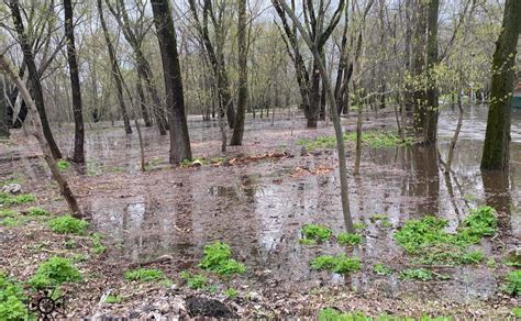 Весняний потоп: причини водопілля в Україні пояснили вчені - Вечірній Київ