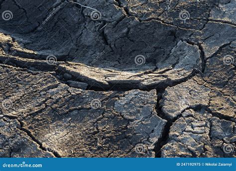 Cracked Earth Soil As A Texture Background Stock Image Image Of Land