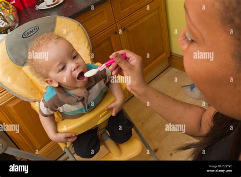 Toddler Being Fed In High Chair Stock Photo Alamy