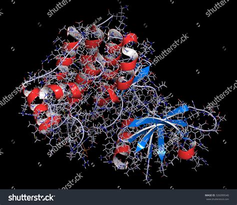 Janus Kinase 1 Protein. Part Of Jak-Stat Signalling Pathway And Drug Target. Cartoon + Line ...