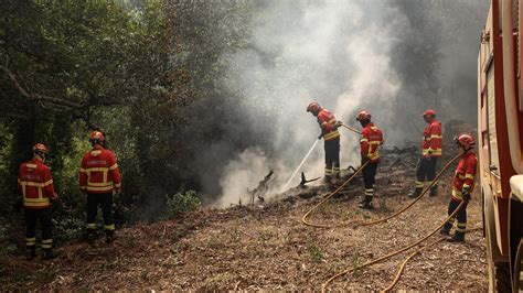 Idosa De Anos Detida Por Suspeita De Come Ar Fogo Em Aveiro Contacto