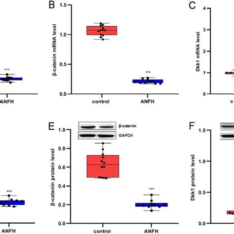 Expressions Of R Spondin Rspo Catenin And Dkk In The Bony