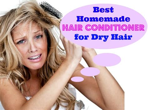 10 Best Homemade Hair conditioners for Dry and Frizzy Hair : Easy DIY - Beauty, Fashion ...