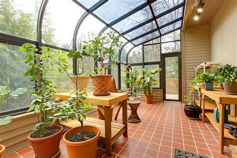 Best Things To Grow In Your Greenhouse Forbes Home