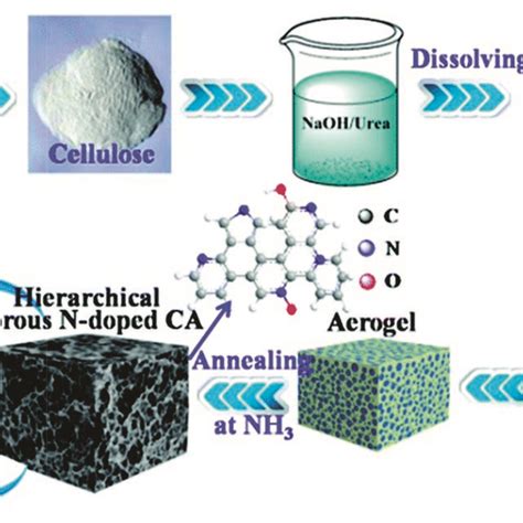 Preparation And Applications Of A Hierarchical Porous N Doped Carbon