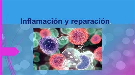 Inflamación y reparación Patologia General PPT