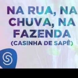 Na Rua Na Chuva Na Fazenda Casinha De Sape Song Lyrics And Music