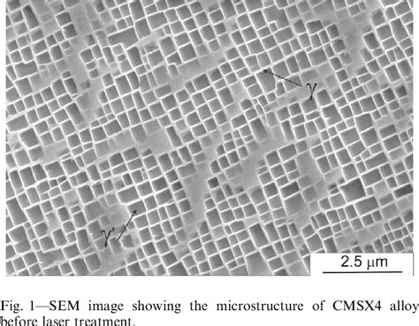 Is A SEM Image Showing The Microstructure Of CMSX 4 Superalloy Before